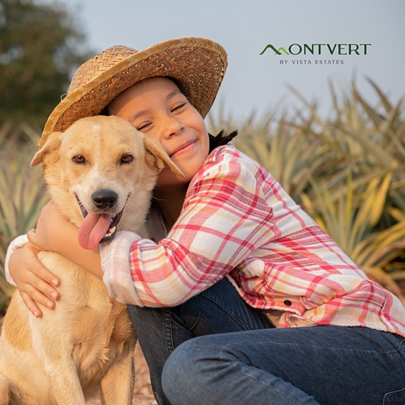 Montvert Residences Montvert Residences